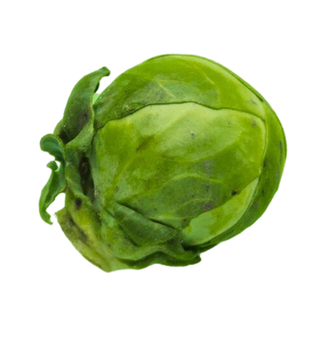 11 Weeks Pregnant Baby Size