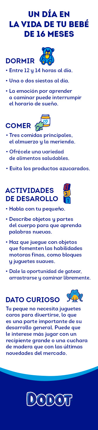 desarrollo psicomotor bebes a los 16 meses