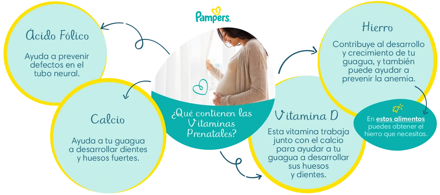 banner: dieta-saludablecuanto-hierro-y-calcio-son-suficiente-en-el-embarazo PAM TC 03 CL (2)