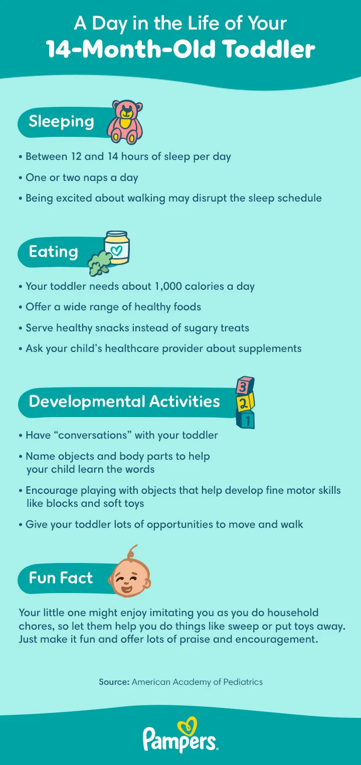 14 month old baby milestones and schedule