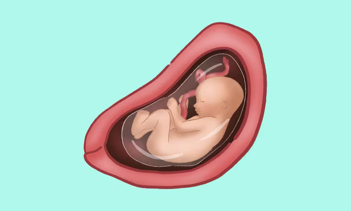 baby at 27 weeks pregnant