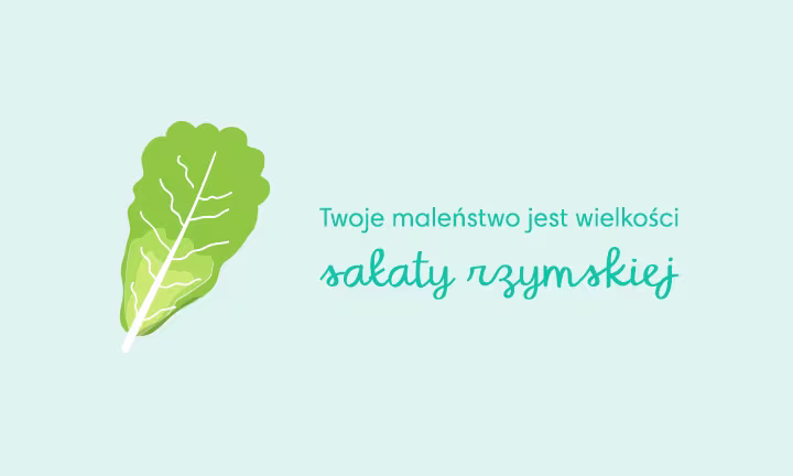 baby size of romaine lettuce week 36