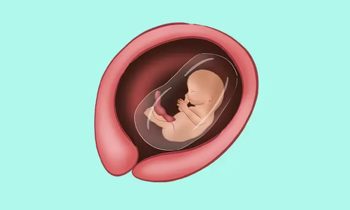 Fatal Development Week by Week 14