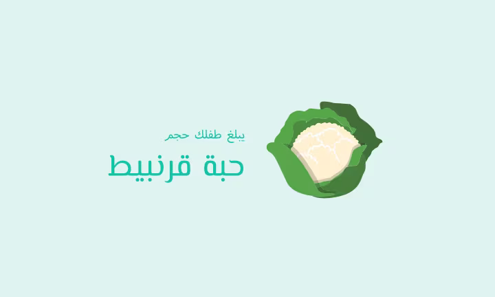 يبلغ طفلك حجم حبة قرنبيط