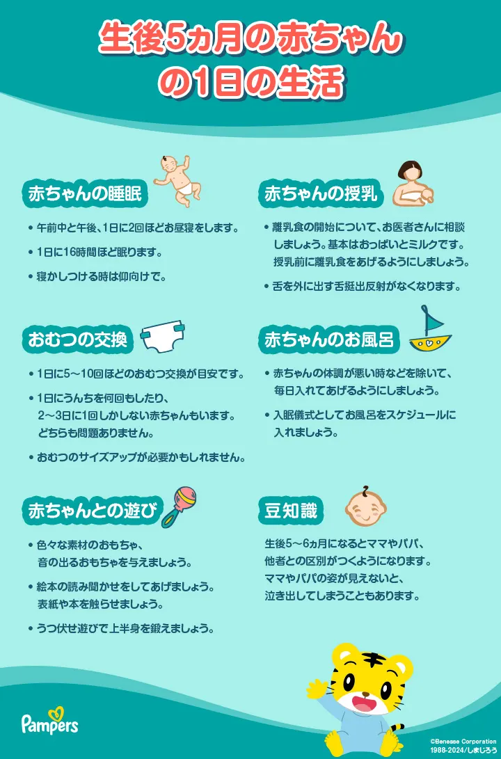生後5ヵ月の赤ちゃんの成長の目安と1日のスケジュール 生後5ヵ月の赤ちゃんの成長の目安と1日のスケジュール