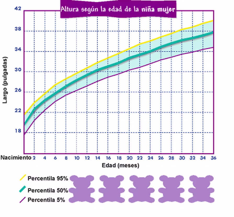 Représentation de la croissance en longueur d'une fille au fil du temps