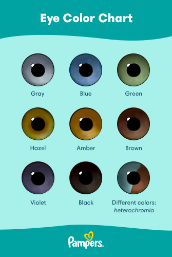 Baby eye color prediction chart