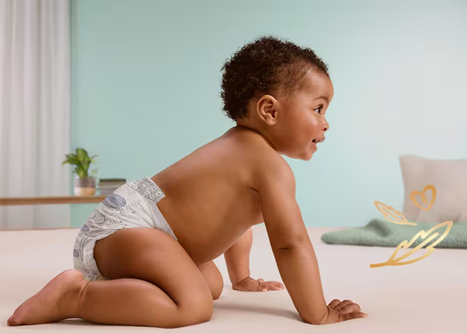 PC Máxima absorção