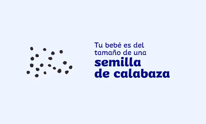 tamaño del feto a las 4 semanas