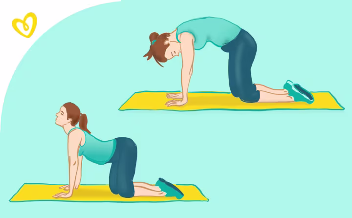 Schwangerschaftsgymnastik: Stärkung und Entspannung der Rückenmuskulatur