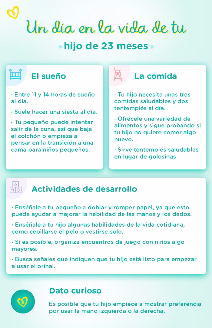 Ehub PampersLATAM Imágenes para nuevos artículos EEUU a day in the life CL