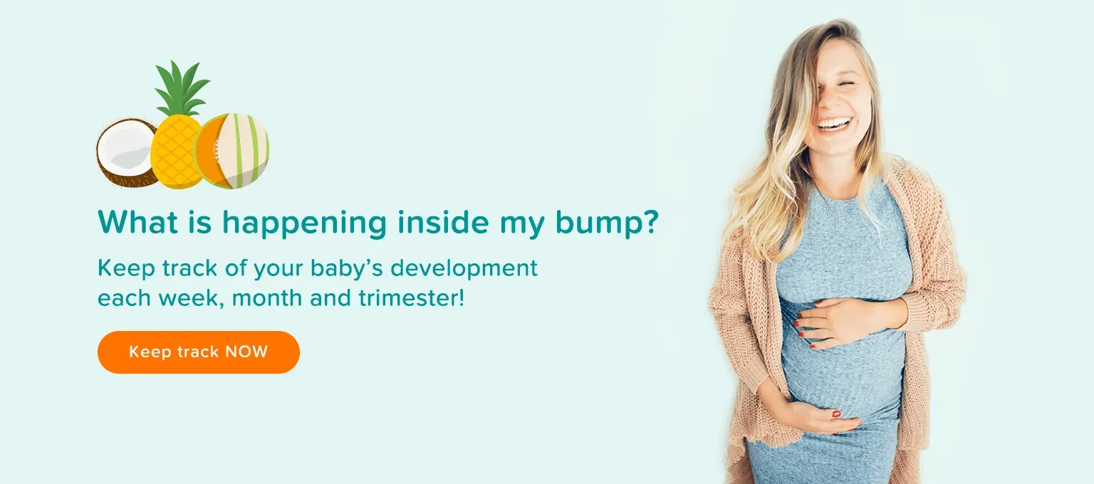 Pregnancy-Calendar-tool