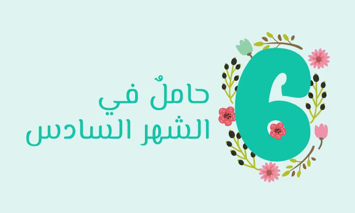 الشهر السادس من الحمل