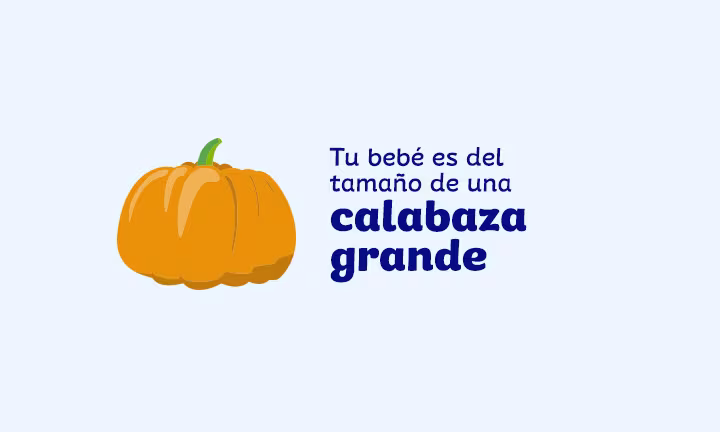Semana 40 de embarazo