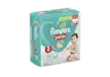 Pampers® Pants