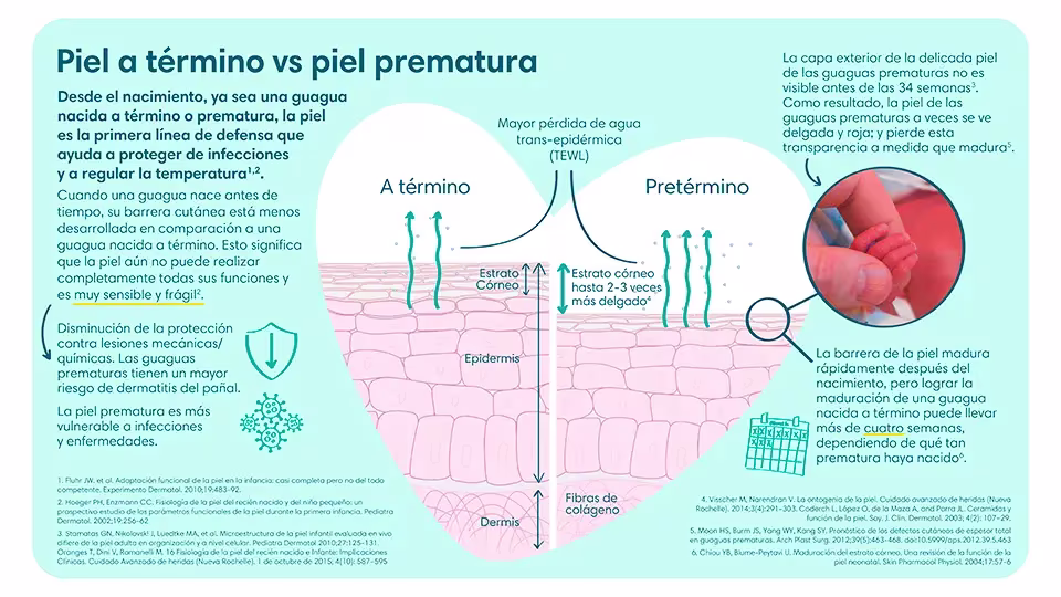 Diferencias de una piel a término vs una piel prematura | Pampers® Chile