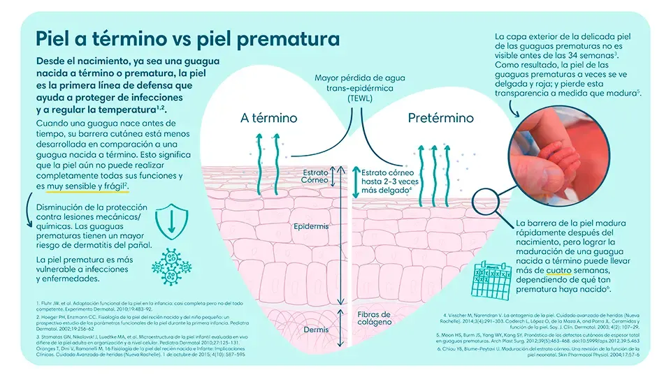 Diferencias de una piel a término vs una piel prematura | Pampers® Chile Diferencias de una piel a término vs una piel prematura