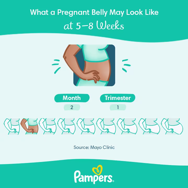 6 weeks pregnant belly