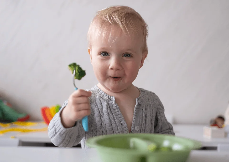 Receitas para bebês de 0 a 12 meses