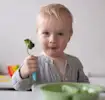 Receitas para bebês de 0 a 12 meses