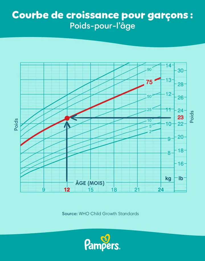 Courbe de croissance pour garçons Courbe de croissance pour garçons