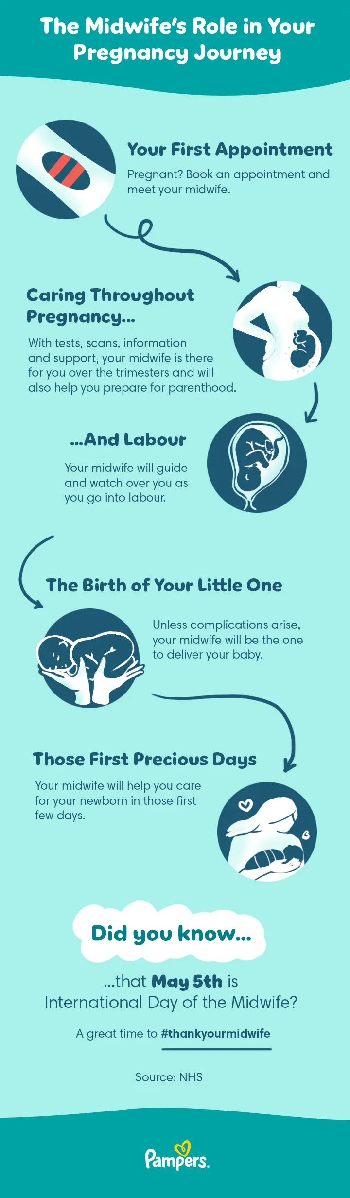 The midwife’s role in your pregnancy journey