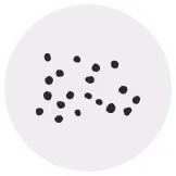 Week 4 Icon