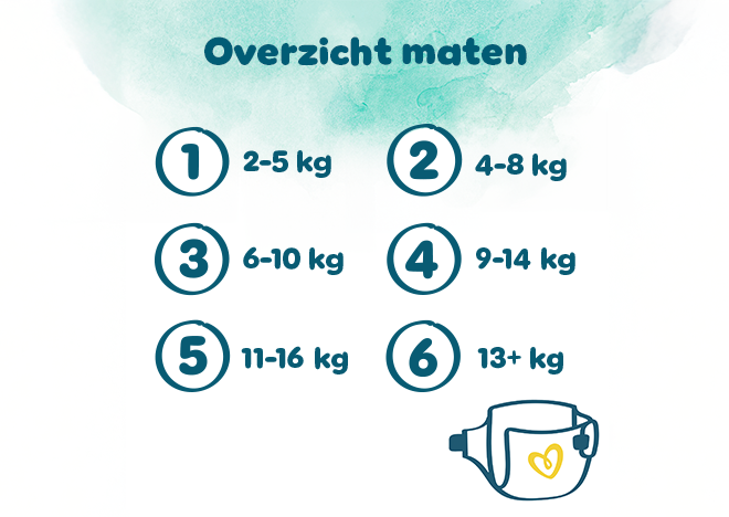 Overzicht maten