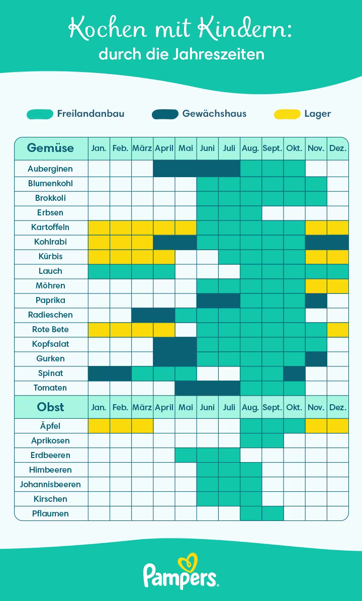 Infografik zu Kochen mit Kindern durch die Jahreszeiten