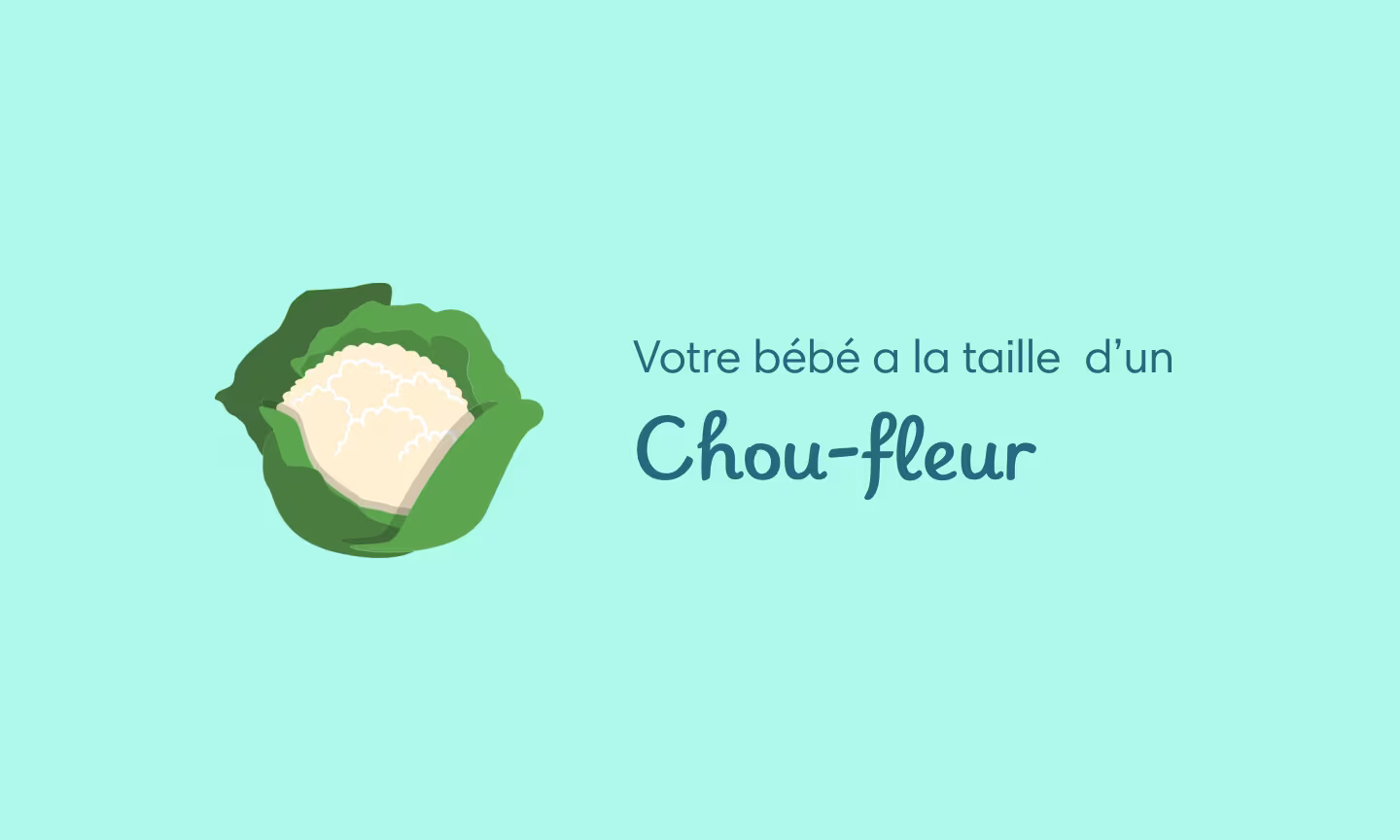 25 semaines de grossesse (27 SA)