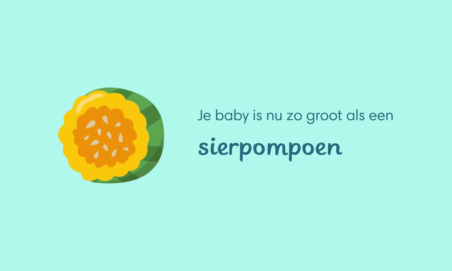Je baby is nu zo groot als een sierpompoen