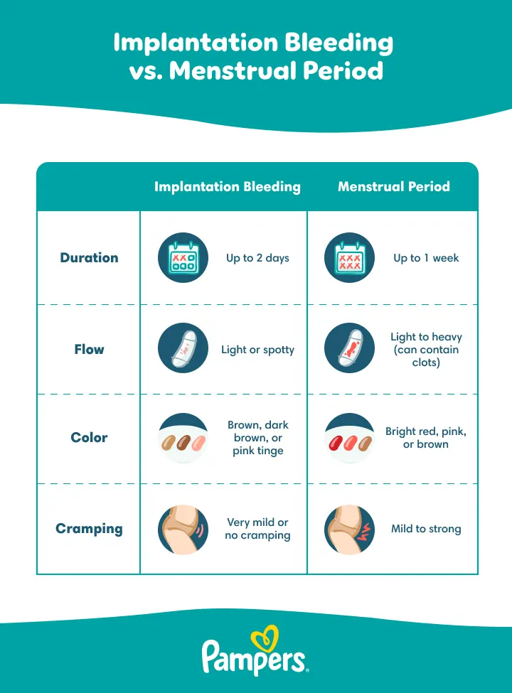 Implantation bleeding vs menstrual period Implantation bleeding vs menstrual period