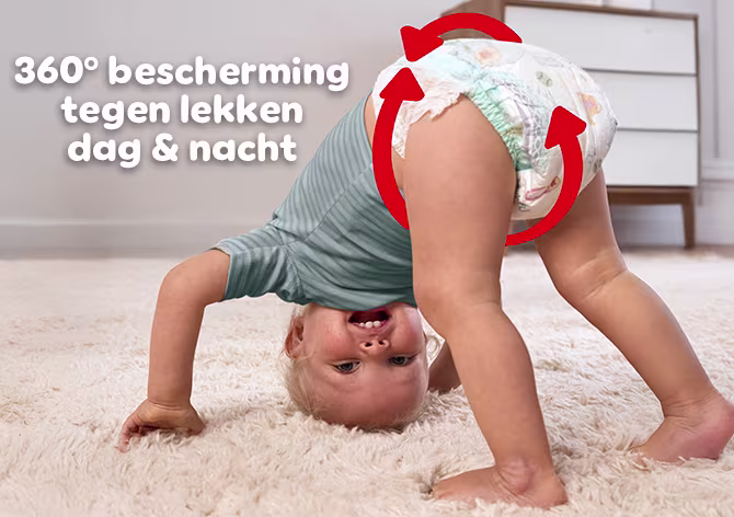 360° pasvorm tegen lekken dag & nacht