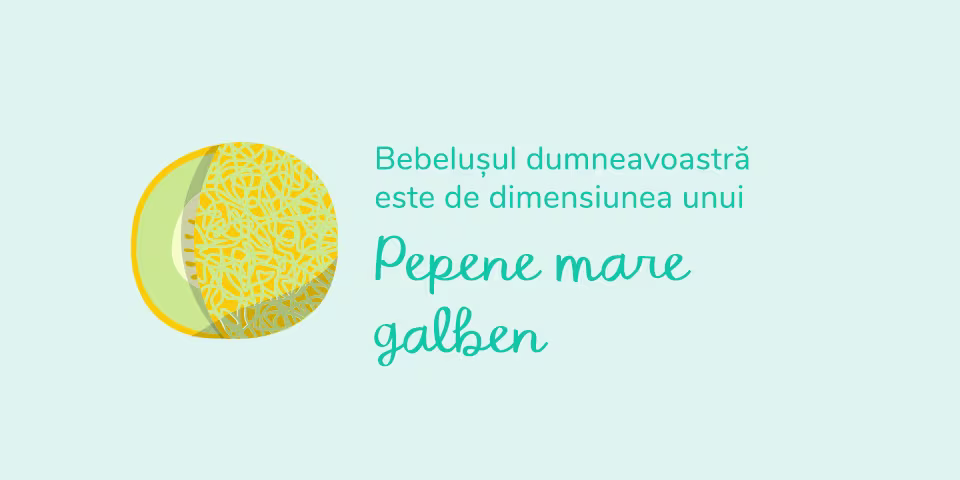 pregnancy-week-by-week-week-35