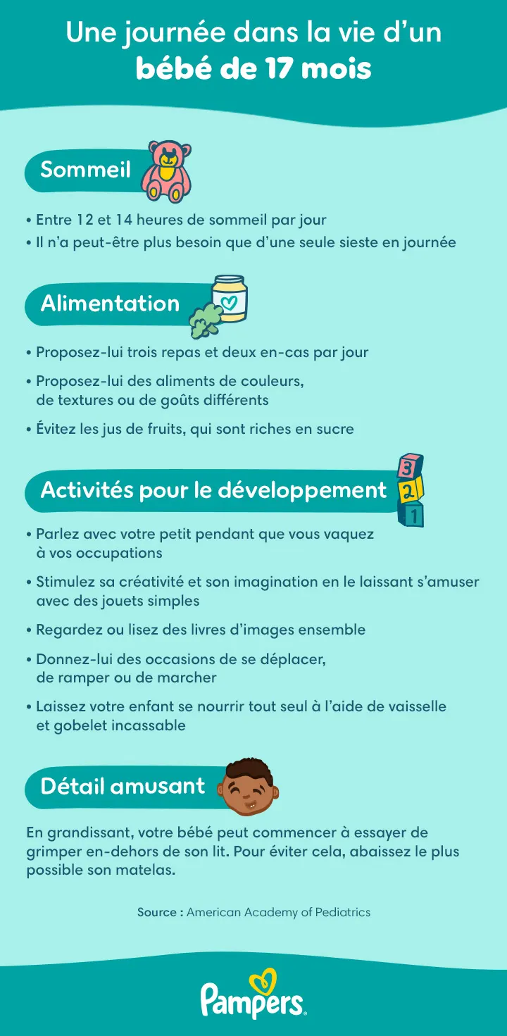 Emploi du temps et étapes de développement à 17 mois
