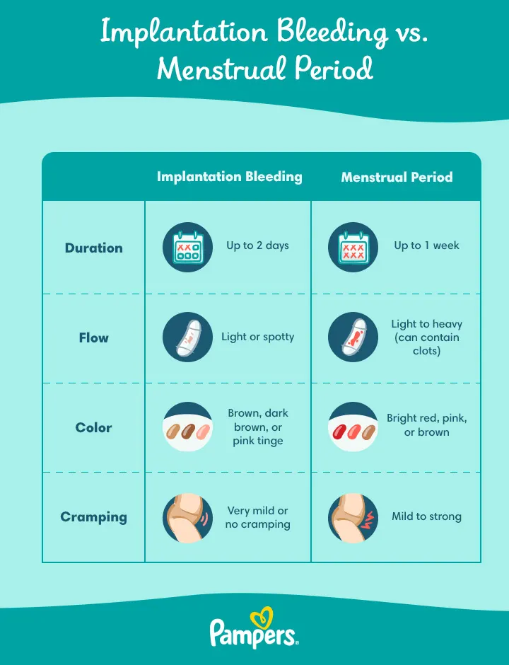 Implantation bleeding vs menstrual period
