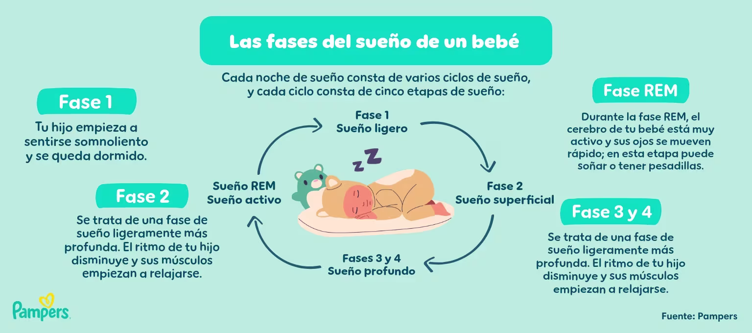 Las fases del sueño de un bebé