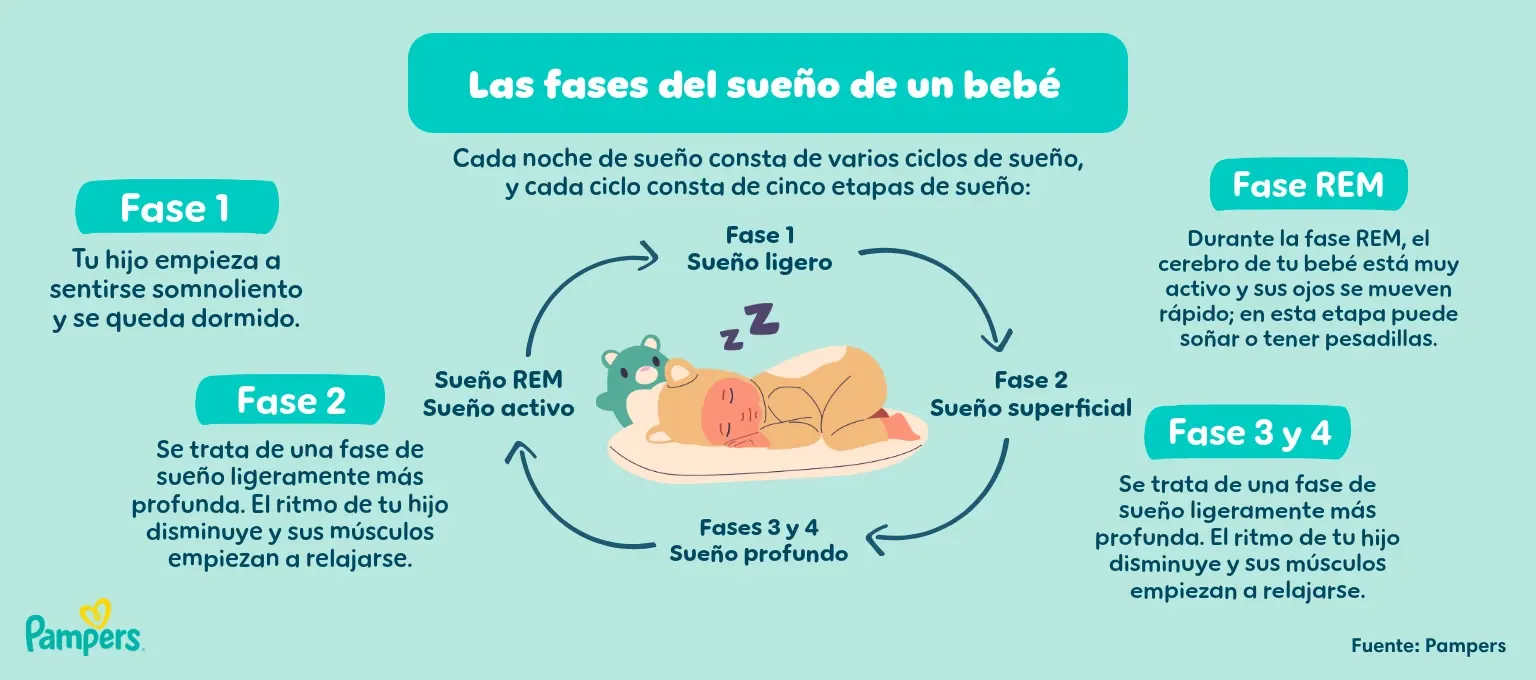 Las fases del sueño de un bebé