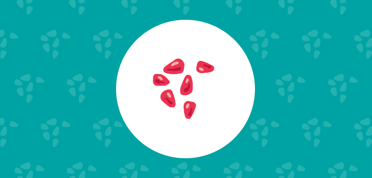 pomegranate seed