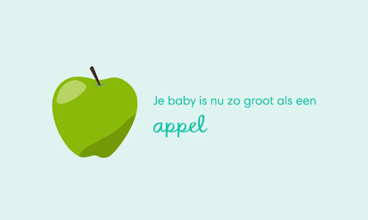 baby size of apple week 16