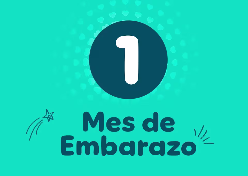 Primer mes de embarazo