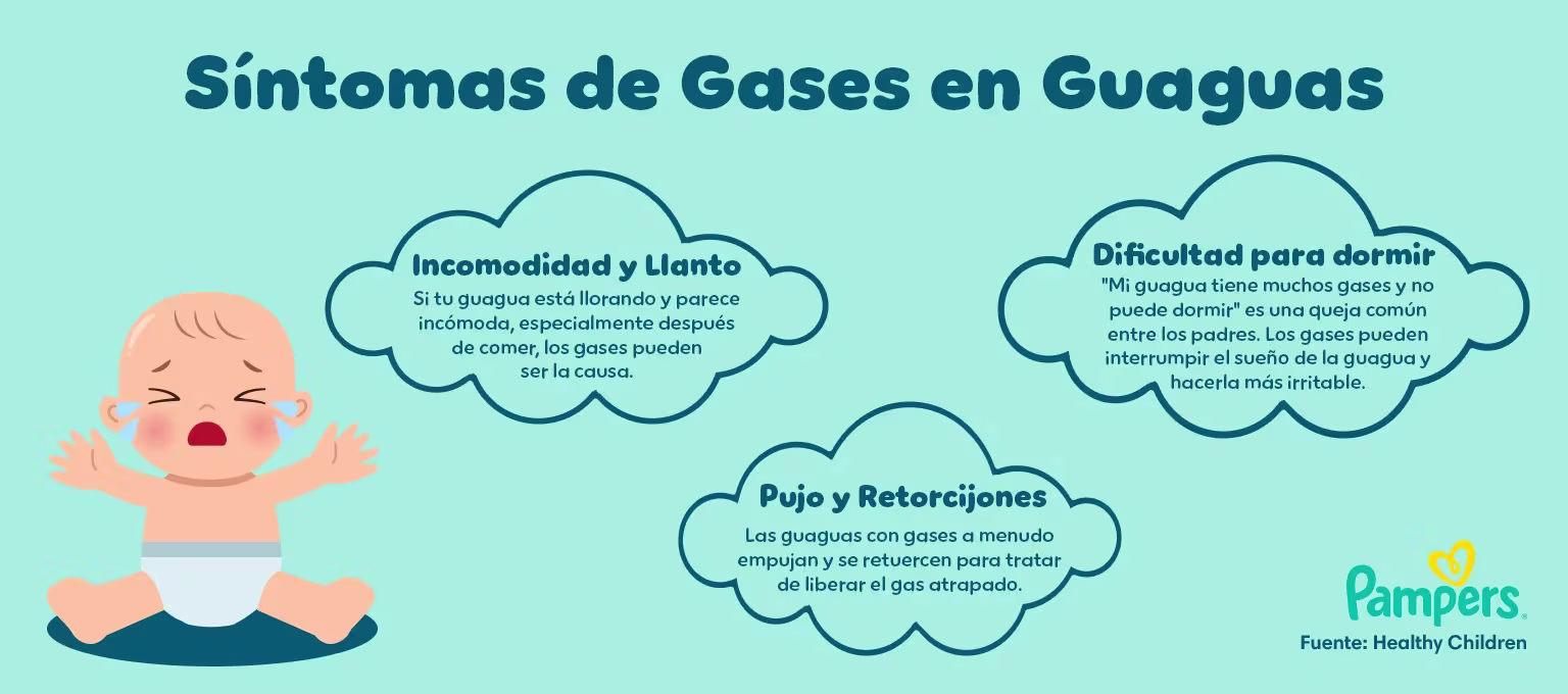 Síntomas de gases en guaguas