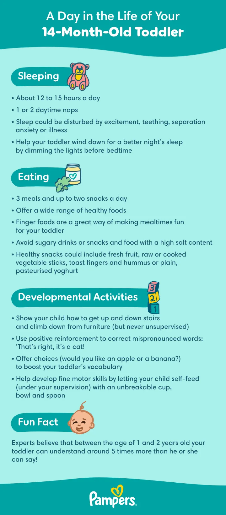 A Day in the Life of Your 14-Month-Old Toddler A Day in the Life of Your 14-Month-Old Toddler