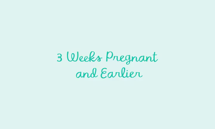 Early pregnancy weeks 1 to 3 infographic