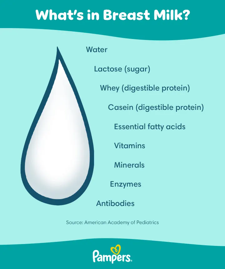 What’s in Breast Milk?