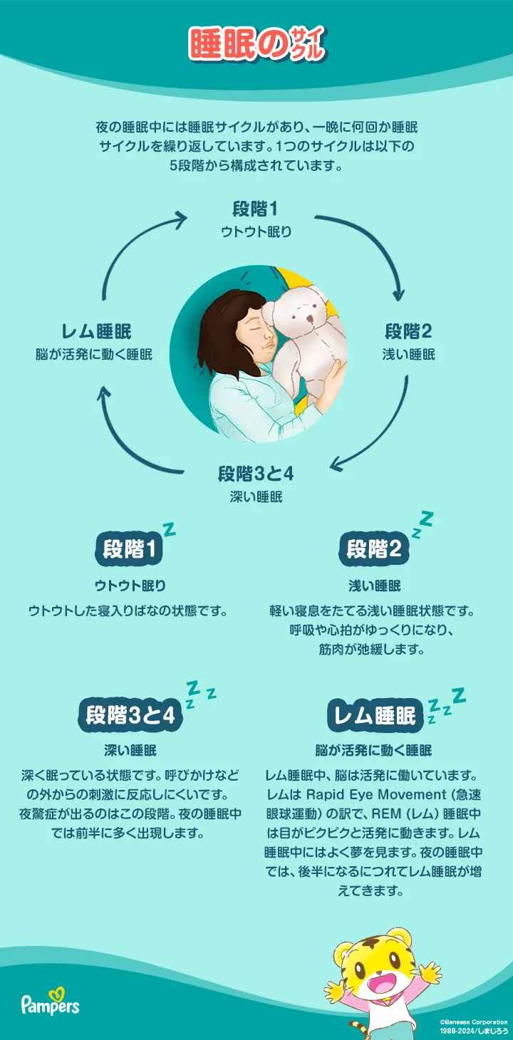 睡眠サイクル 睡眠サイクル