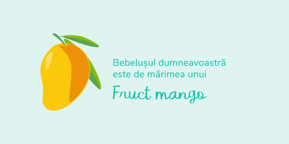 pregnancy-week-by-week-week-19