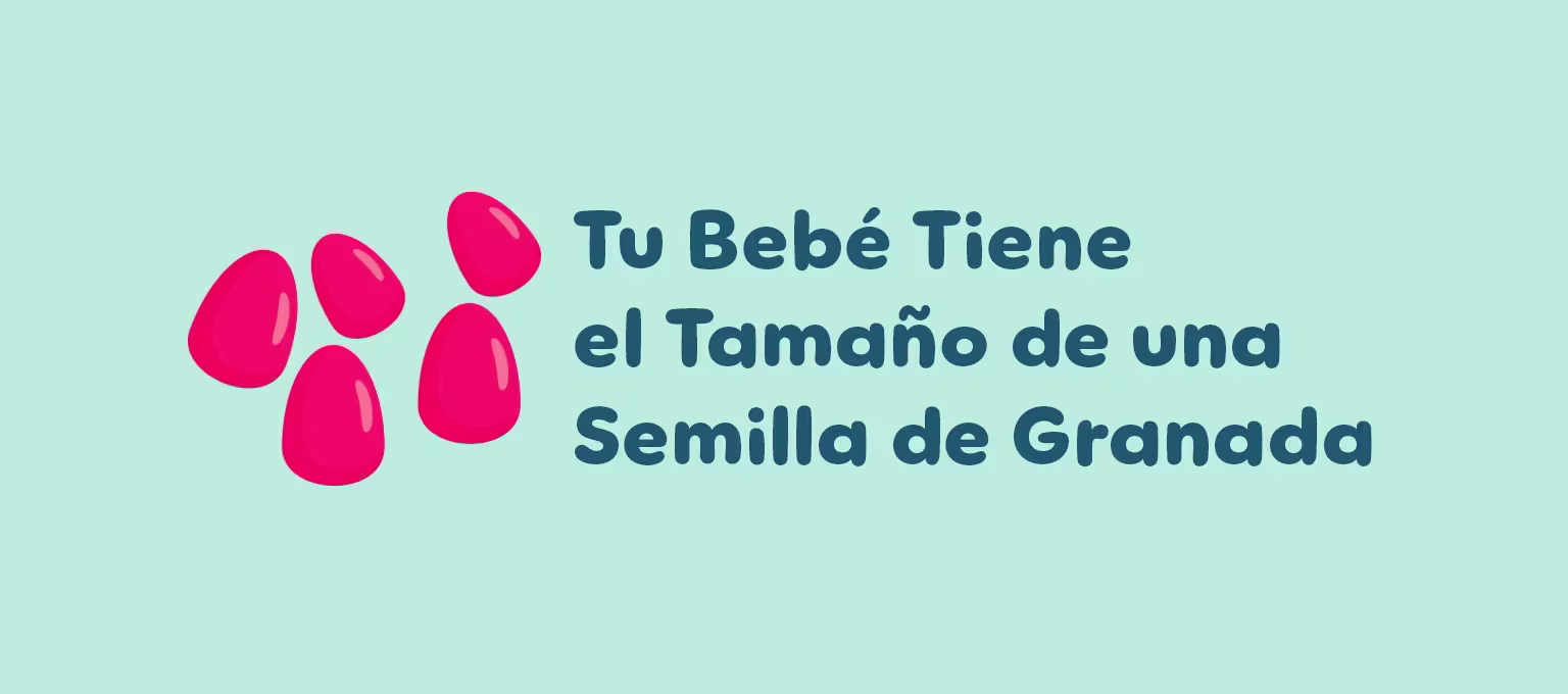 6 semanas de embarazo