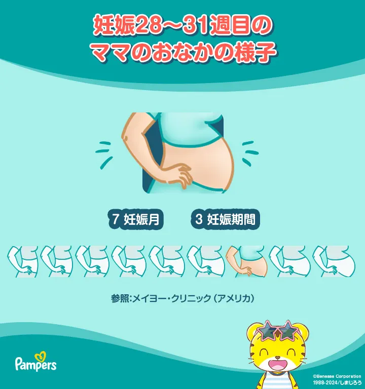 妊娠28〜31週目のママのお腹の様子 妊娠28〜31週目のママのお腹の様子