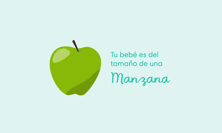 Tu bebé es del tamaño de una manzana
